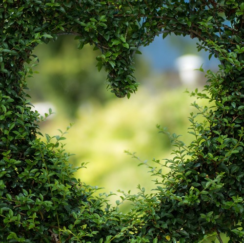 Gartenbegehung für Abteilung 3